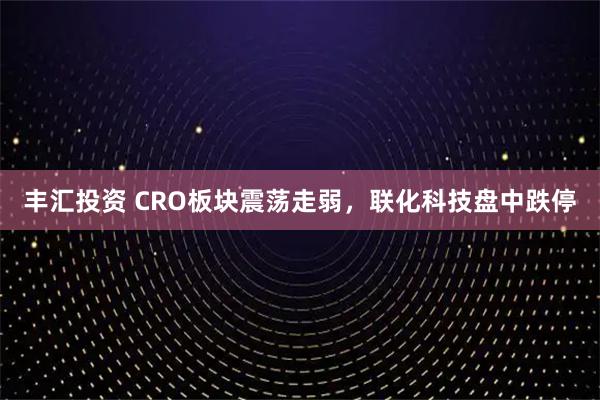 丰汇投资 CRO板块震荡走弱，联化科技盘中跌停