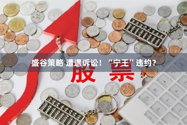 盛谷策略 遭遇诉讼！“宁王”违约？