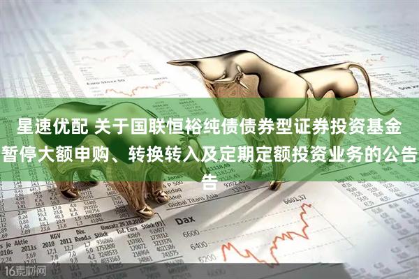 星速优配 关于国联恒裕纯债债券型证券投资基金暂停大额申购、转换转入及定期定额投资业务的公告