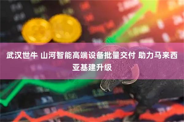 武汉世牛 山河智能高端设备批量交付 助力马来西亚基建升级
