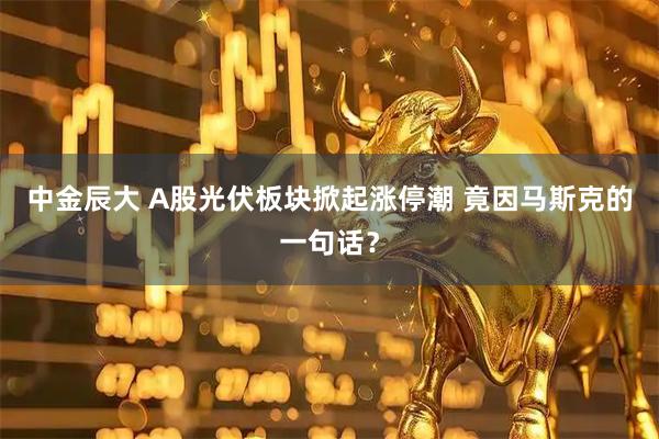 中金辰大 A股光伏板块掀起涨停潮 竟因马斯克的一句话?