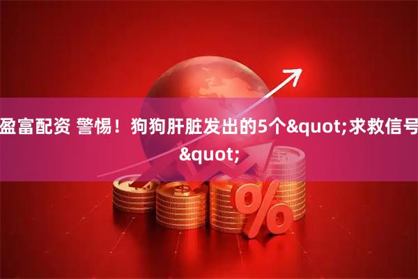 盈富配资 警惕！狗狗肝脏发出的5个"求救信号"