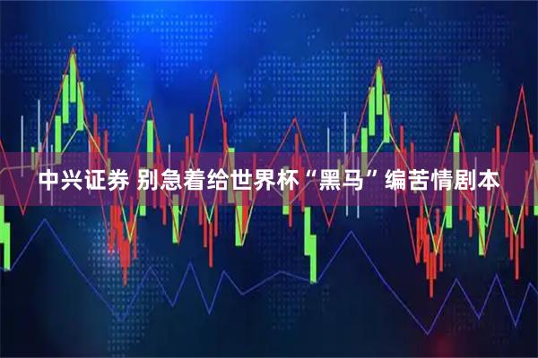 中兴证券 别急着给世界杯“黑马”编苦情剧本